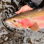 Tegan baxter - @fishing_with_norm - Instagram