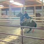 Tegan Bird - @begantirds2ndacc - Instagram