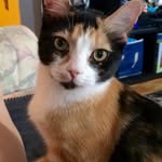 Tegan Black - @wandering_lense555 - Instagram