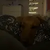 tegan black 🩵 - @tegan.privv3 - TikTok
