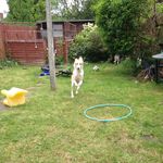Tegan_bruce05 - @tegan_bruce05 - Instagram