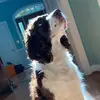 Tegan-Campbell - @campbell_34 - TikTok