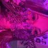 Tegan - @tegancampbell0 - TikTok