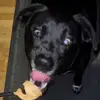 Tegan - @tegancampbelll - TikTok