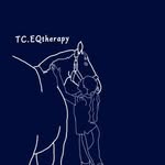 Tegan Chambers - @tc.eqtherapy - Instagram