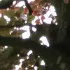 Tegan Cooper - @tcooper2311 - TikTok