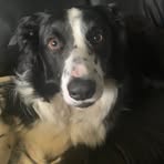 Teagan Dalton - Facebook