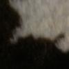 Follow me pls - @teganday59 - TikTok