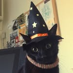 𝓣𝓮𝓰𝓪𝓷 🎃 - @tegandyer947 - Instagram