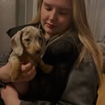 Tegs - @tegan.evanss - Instagram