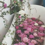 🌸T_e_g_a_n🌺🌊🌴🐼 - @tegan_fuller - Instagram