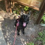 Teagan Gilbert - Facebook