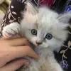 tegan.gordon - @tegan.gordon - TikTok