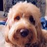 Teagan Hall - @paisley_22u - TikTok