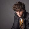 Tegan Hamilton - @newt_scamander34 - TikTok