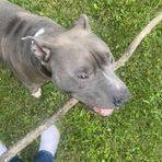 Tegan Higgins - Facebook