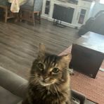Teagan Huffman - Facebook