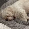 Tegan Jackson - @tegan.jackson8 - TikTok