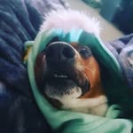 tegan.john - @tegan.john8 - Instagram
