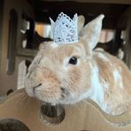 Teagan Marks - Facebook