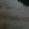 teganmason12 - @teganmason12 - TikTok