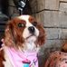 Tegan McCarthy - Facebook