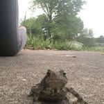 Tegan Morrow - @teganpaige55 - Instagram