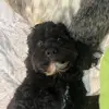 teganmurphy - @teganmurphyx - TikTok
