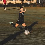 TRex - @teganolsen2014 - Instagram