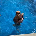 Teagan Olson - Facebook