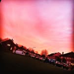 Tegan Rowe - @tegan.rowe.395 - Instagram
