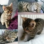 @tegan_stanley_05 - Instagram