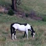Tegan Stanton - @highcountry24 - Instagram
