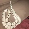Tegan Steele - @snakeperson123 - TikTok