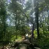 tegan - @tegan.stanton - TikTok