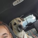 Teghan Tanner - Facebook
