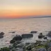 tegan - @teganthomas.28 - TikTok