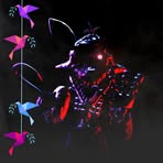 Tegan Turner - Facebook