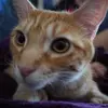 tegan_wall - @tegan_wall8 - TikTok