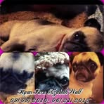 Tegan Wall - Facebook