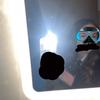 Tegan Walsh - @tegan.walsh83 - TikTok