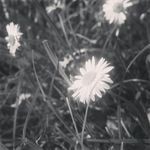 Tegan webb - @tegan.webb_photography - Instagram