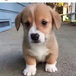 Tegan Wiggins - @i_love_moustaches_0208 - Instagram