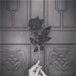 Chun104 - @teh_chun104 - Instagram