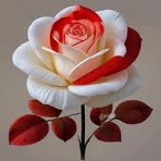 Tek Thapa - Facebook