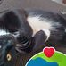 Telesa Smith - Facebook