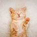Telisha Smith - Facebook
