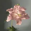 Tellbell - @tellbells - TikTok
