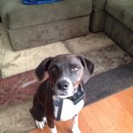 Telly Davis - @instatellygram - Instagram