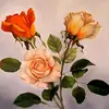 Telma Diaz - @telma.diaz3 - TikTok